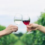 次回ワイナリー開放デーのご案内【1月10日】